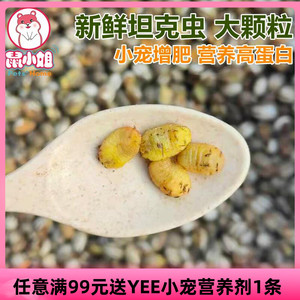 包邮坦克虫洋辣子杨拉罐营养长胖美毛蜜袋鼯刺猬仓鼠熊花枝鼠零食