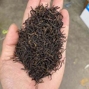 2021新茶松阳红茶500g罐装