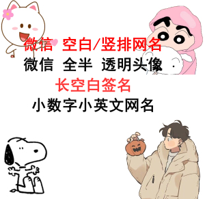 微信空白昵称名字竖排双排特殊网名全半透明头像设计