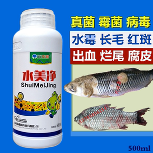 水霉净 水产养殖专用 水霉病鱼塘消毒杀菌鱼烂鳃腐皮烂身烂尾鱼药