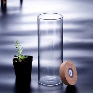 带灯直筒玻璃花瓶暖白灯串柱形软木塞微景观生态瓶苔藓海藻球斗鱼