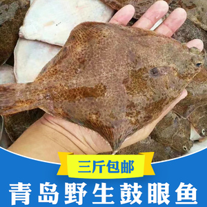 800人付款淘宝青岛野生高眼鱼新鲜小眼鱼包邮鲜活比目鱼海鲜水产海鱼