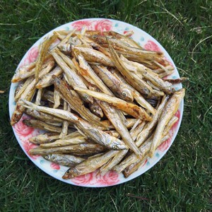 江西特产棍子鱼