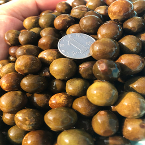 鸡头米新鲜带壳安徽