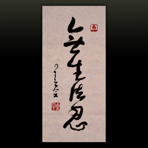 星云大师书法作品真迹一笔字书法名人字画收藏释星云墨宝无生法忍