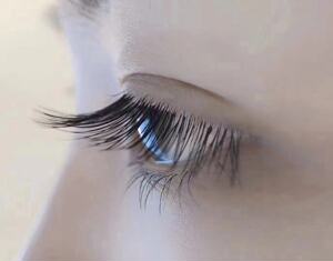 嫁接婴儿直睫毛婴儿弯单株微翘专业种植自然柔软仿真空气男假眼毛