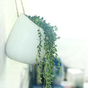 壁挂墙花盆悬挂式多肉陶瓷垂吊兰篮盆绿萝水土培创意植物桌面阳台