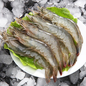 鲜活基围虾 大明虾 白对虾 500g 长沙海鲜同城配送