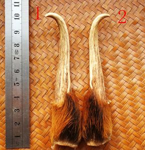 麂子角挂件
