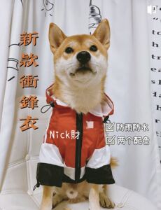 Nick財 柴犬柯基法斗潮牌防风防水连帽衣服冲锋衣狗狗宠物雨衣