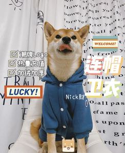 Nick财 网红柴犬雪拉瑞柯基加绒加厚连帽卫衣宠物狗狗冬天衣服