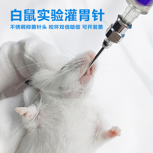 netxlong_pan淘宝灌胃针 小鼠灌胃针 大鼠灌胃针 灌胃器 不锈钢针头
