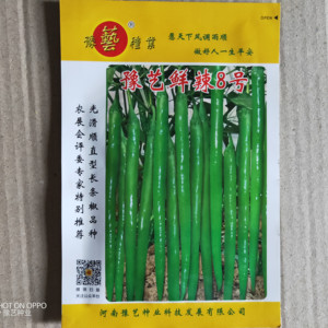 豫艺种业种子