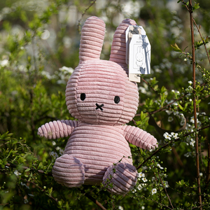 新品荷兰米菲兔Miffy可爱少女娃娃 儿童毛绒玩具小兔子睡觉安抚
