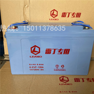 雷丁蓄电池12v-100ah 120ah四轮电动轿车洗地机观光车铅酸电瓶60v