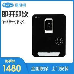 汉斯顿正品净水器家用管线机壁挂式饮水机 hsd-g06温热加热直水机