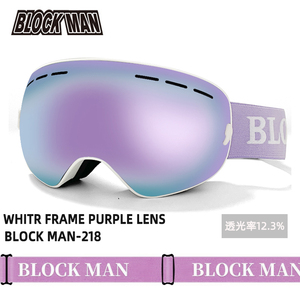 新滑雪眼镜单双板滑雪装备双层防雾防风滑雪镜防紫外线滑雪护目镜