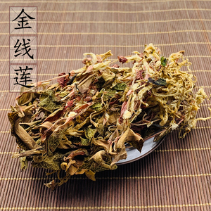 中药金线莲