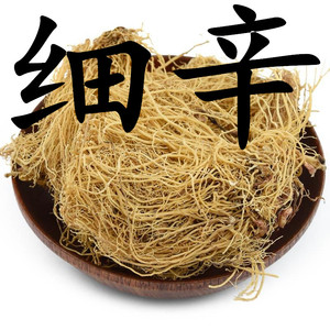 北细辛