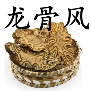 龙骨风