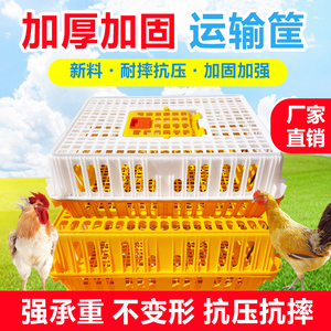 大号成鸡周转箱塑料鸡笼运输笼家用装鸡鸭鹅兔家禽笼子养殖的鸡筐