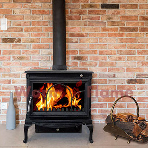 真火燃木取暖柴火壁炉欧式客厅铸铁独立式自建别墅民宿农村采暖炉