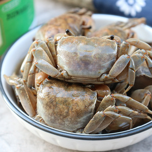 1097瑶儿淘宝浙江特产醉蟹钳罐装温州醉蟹钳腌制即食螃蟹脚下饭