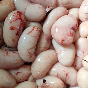 【确定新鲜】1斤本地鸡腰子公鸡睾丸蛋鸡子鸡肾食用 广东顺丰包邮