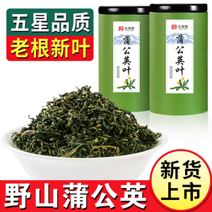 北滋堂蒲公英叶子茶浦薄新鲜现挖非特婆婆丁根茶级