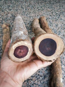 越南紫檀柳把玩棍棒原木料手把防身棒似海南黄花梨珠子料14-18