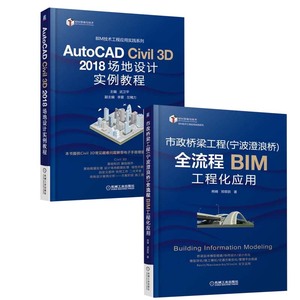 【全2册】AutoCAD Civil 3D 2018 场地设计实例教程+市政桥梁工程（宁波澄浪桥）全流程BIM工程化应用 Civil3D道路桥梁设计图书籍