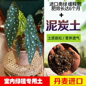 进口品氏泥炭通用营养土肥料竹芋彩掌龟背竹绿植花卉花多多奥绿