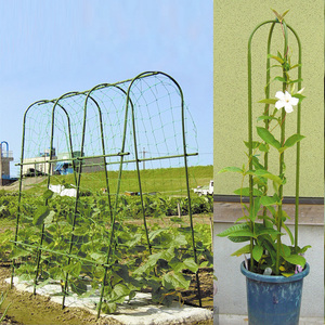 立架是最简单的搭架子的方法,适用于绝大多数的藤蔓类植物,它操作起来