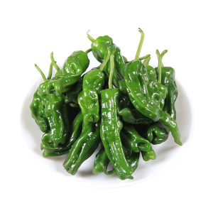 小青椒辣椒包邮新鲜