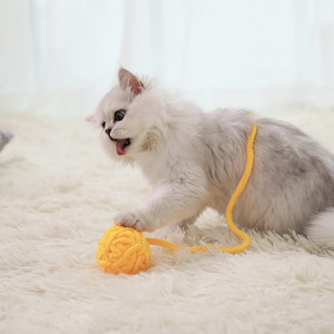 宠物猫玩具球