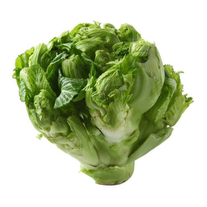 80羚森堂旗舰店天猫四川特产农家抱儿菜当季新鲜5斤嫩儿仔蔬菜娃娃