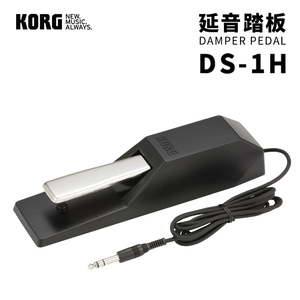 琦材 KORG DS-1H 电子钢琴合成器键盘延音踏板脚踏 KORG专用