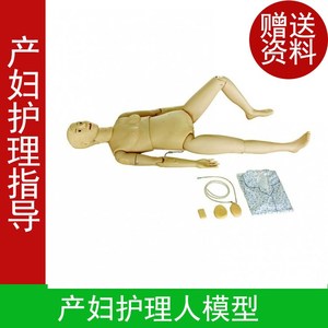 全功能产妇护理人模型 产妇假人橡胶人 产后护理培训人体模型模特
