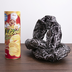 创意整蛊薯片桶蛇仿真玩具吓人恶作剧朋友恶搞送女朋友闺蜜吓一跳