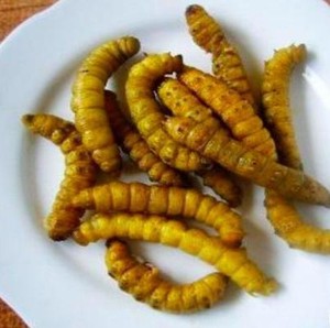 开袋即食现做现发20条包邮新鲜活体油炸豆虫豆丹豆青虫豆天蛾