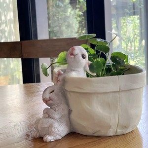 口袋小兔子花器多肉花盆萌可爱花园装饰桌面摆件创意礼物品阳台
