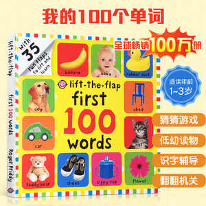 英文原版词典正版 Lift-The-Flap: First 100 Words 一百个单词启蒙100词纸板翻翻书儿童英语图解字典宝宝识字辅导故事图画书