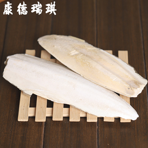 宠物乌贼