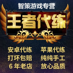 王者荣耀代练排位代打战队代打段位指定英雄上分钻石星耀王者上星