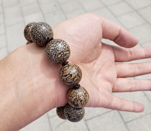 天然恐龙骨化石手串手链 原石佛珠散珠圆珠多宝配珠 一物一图