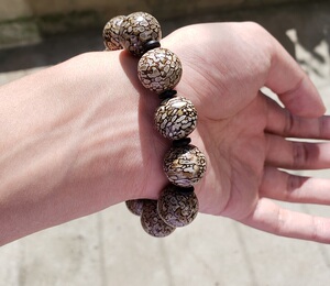 天然恐龙骨骼牙齿化石珠串 手链 手串 圆珠 恐龙骨化石佛珠配饰