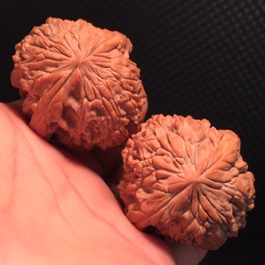 平谷暴雪狮子头小众文玩麻核桃