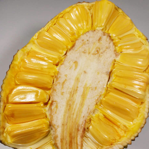 海南菠萝蜜果肉