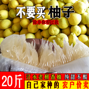 湖南江永香柚纯甜不酸农家特产新鲜水果老树冰糖沙田蜂蜜柚子20斤