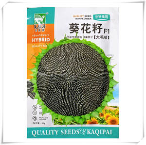 生瓜子的营养_葵瓜子的营养价值表_洽洽瓜子葵珍